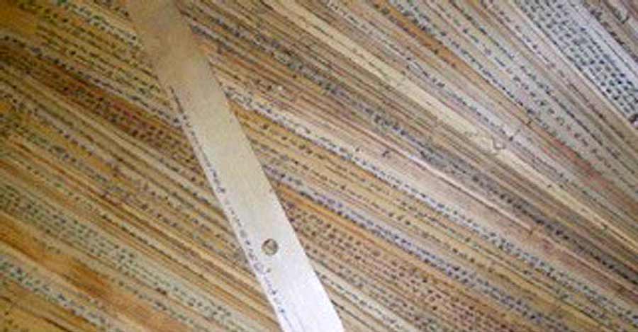 Three thousand year old palm manuscripts