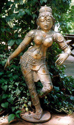 Saraswati in Kali's Garden